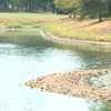 'It's kind of critical': Rogers golf course water supply dropping as dry, hot weather continues