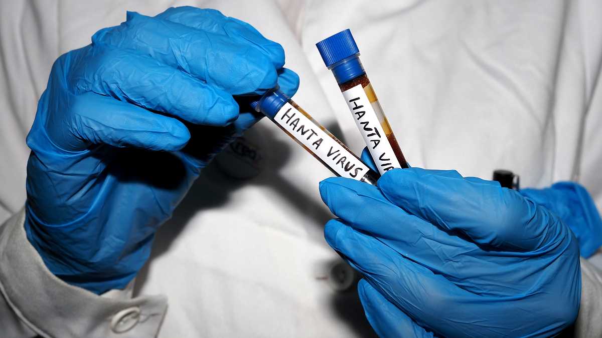 Hantavirus warning sparks mixed reactions among locals despite no Mississippi cases
