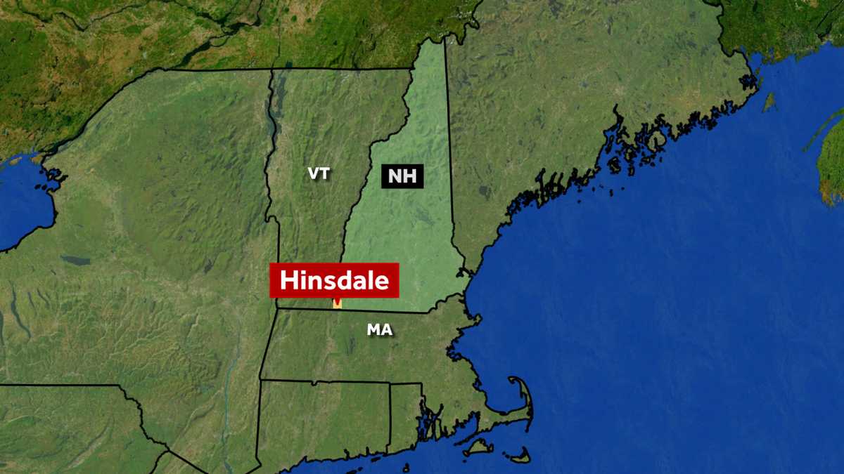 3 pets dead after house fire in Hinsdale
