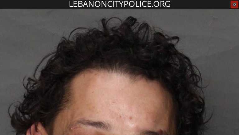 Lebanon man accused of assaulting someone during domestic disturbance