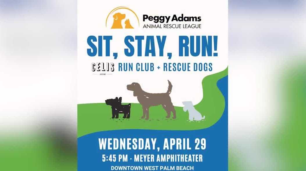 Dog Riders Club Local run club teams up with rescues to get dogs adopted