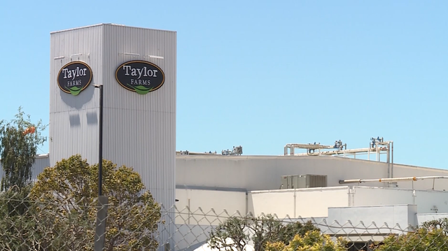 Lettuce shipped to NH recalled due to possible Cyclospora contamination