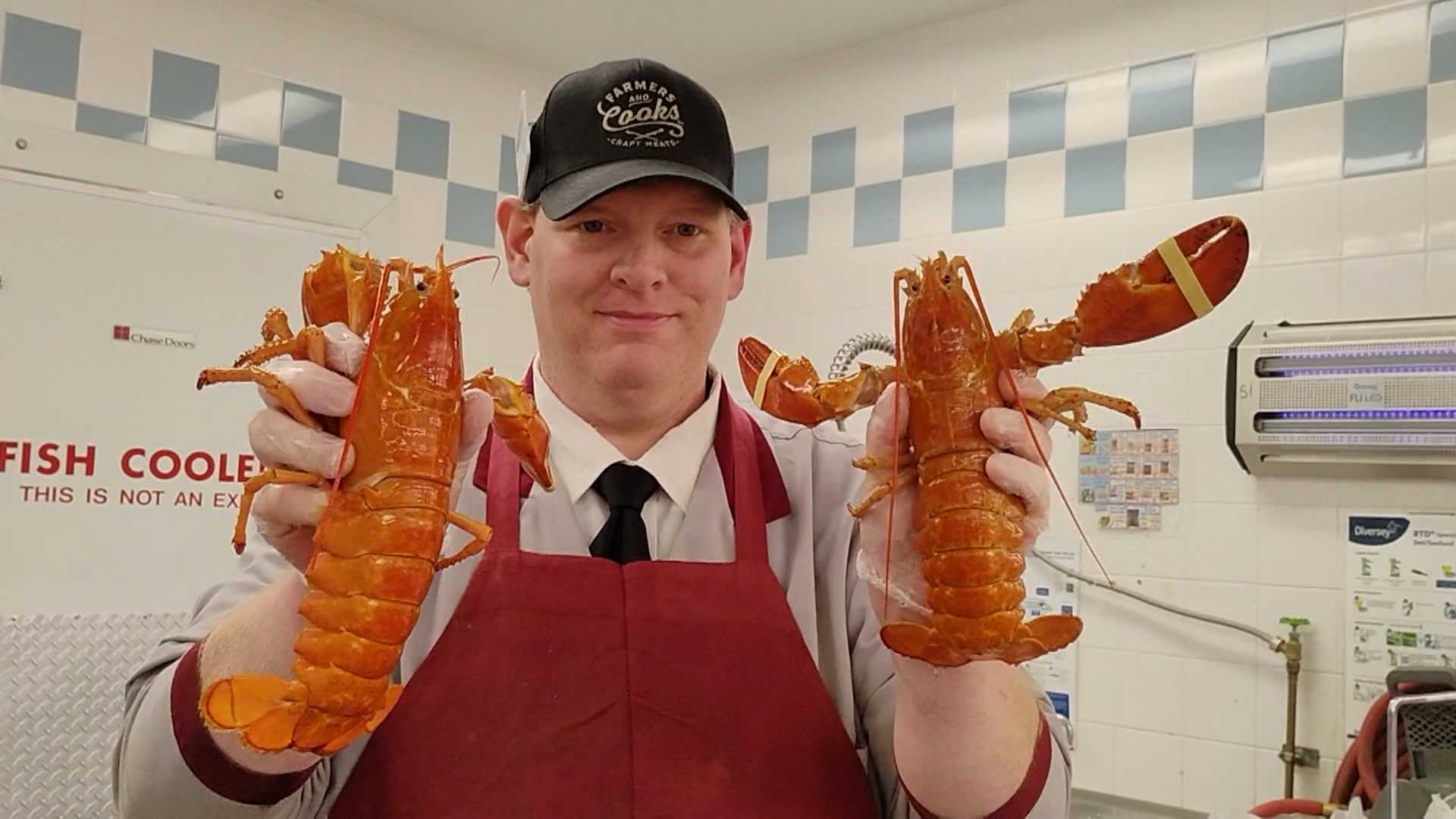 Market Basket employee finds two rare orange lobsters in NH
