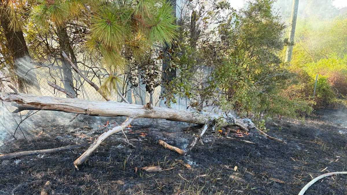Extenguish St. Tammany firefighters extinguish powerlined blaze near Slidell ...