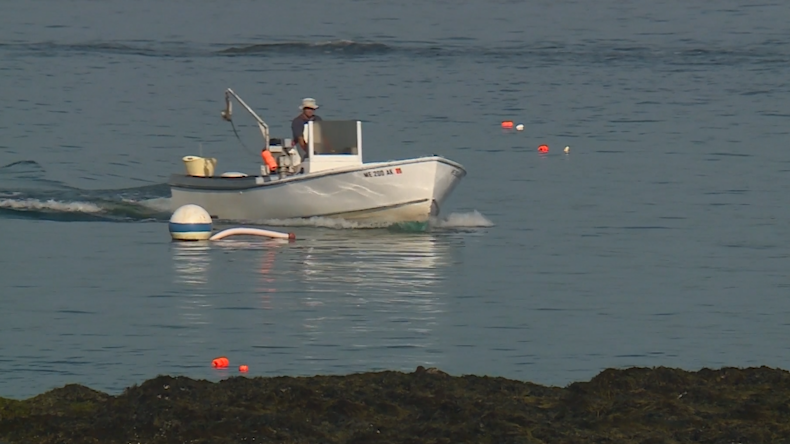 New study says consumers may pay more for lobster caught with ropeless technology