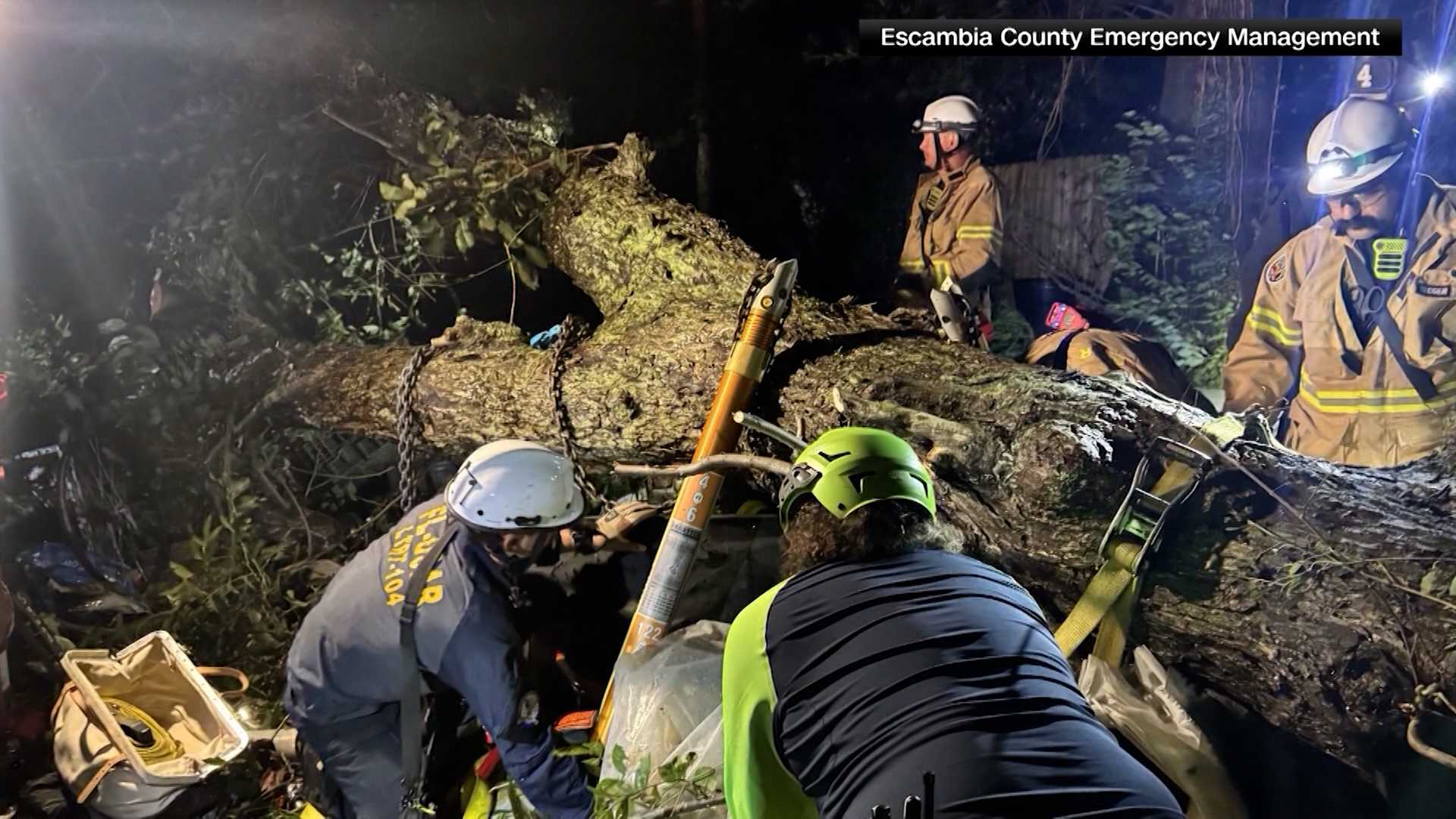 Tree falls on Birmingham home, killing one person overnight