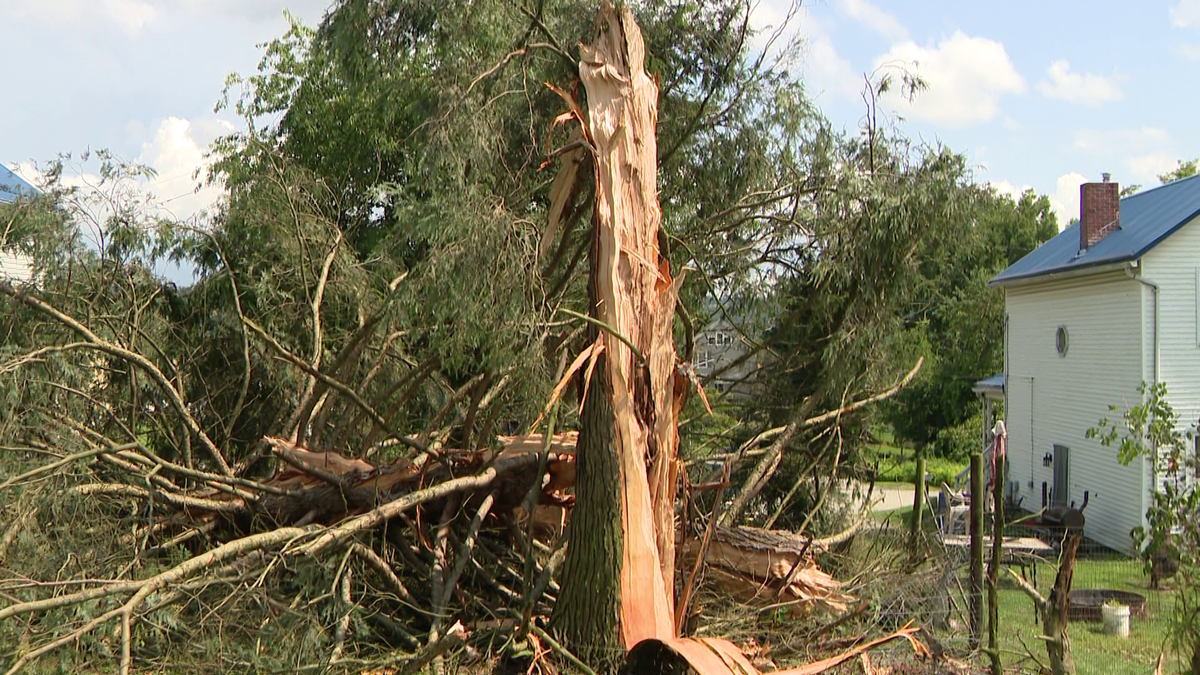 ‘It was an instant flash': Lightning strikes tree in Jefferson Hills