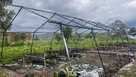 TOPSHOT-DRCONGO-HEALTH-VIRUS-EBOLA