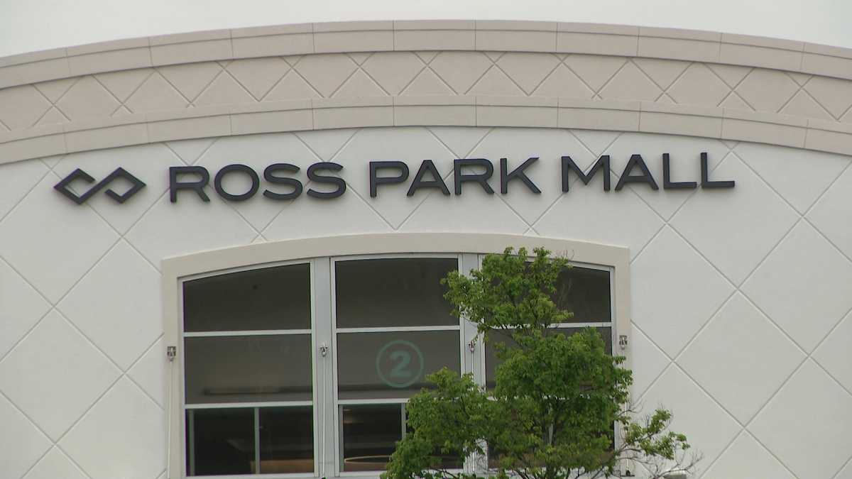 ‘The mall is back:’ 4 The Record looks at the status of malls in the Pittsburgh area