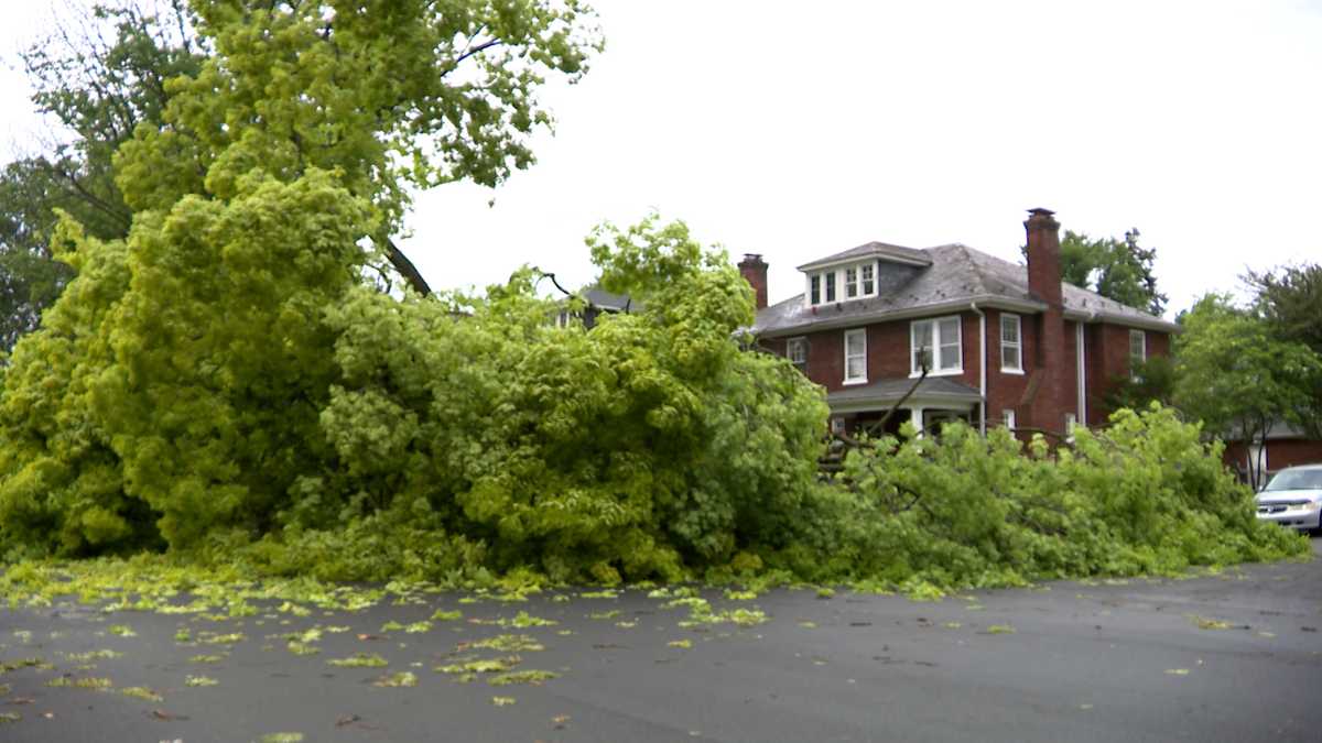 Downed Trees and Power Lines Leave Mark on Manheim Township