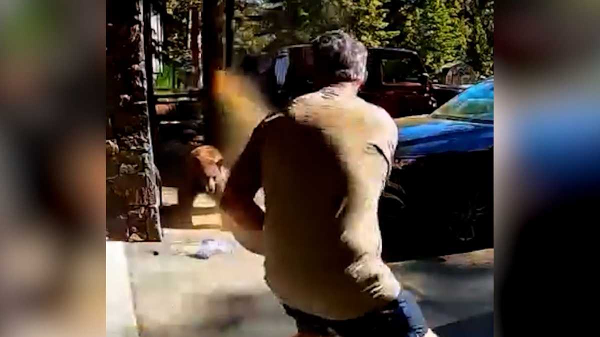 Video shows bear charging at man outside of his vacation home