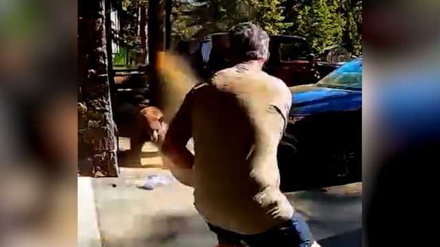 'We were both startled': Man describes bear charging at him outside of his Lake Tahoe vacation home
