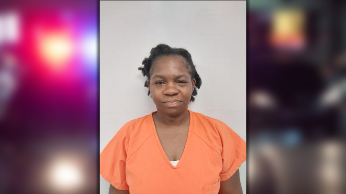 Caretaker charged in theft from elderly woman’s bank account