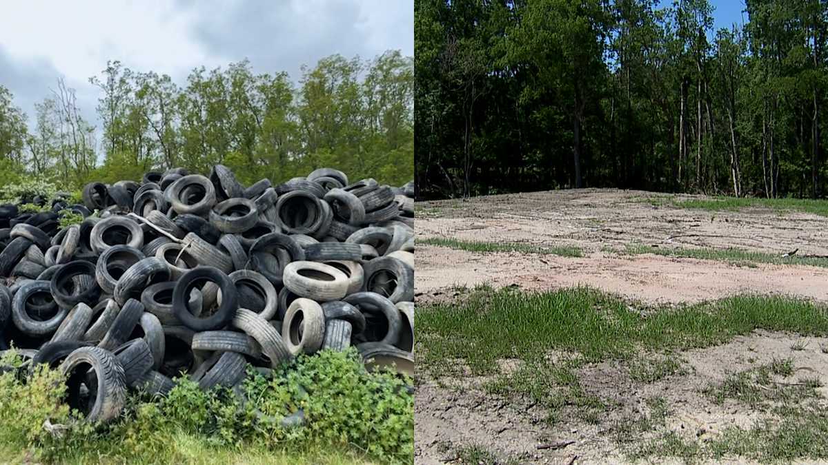 'Great Savannah Tire Patch' removed from Hutchinson Island after city-funded cleanup