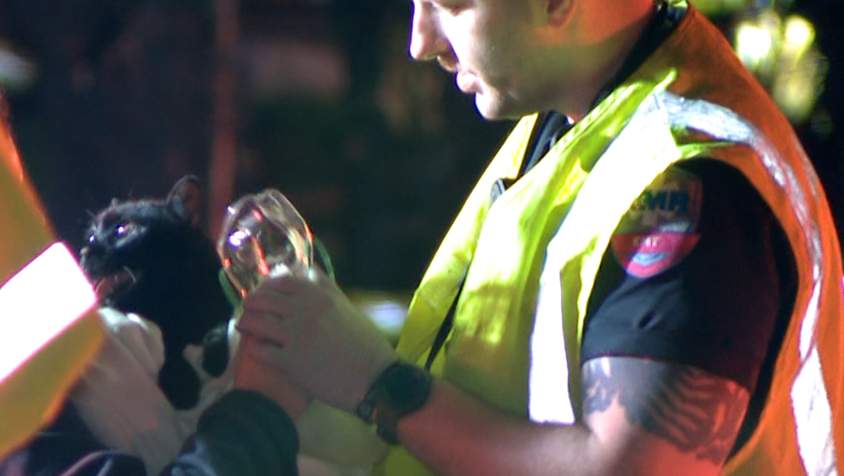 Two cats rushed to emergency vet after Manchester fire now doing okay