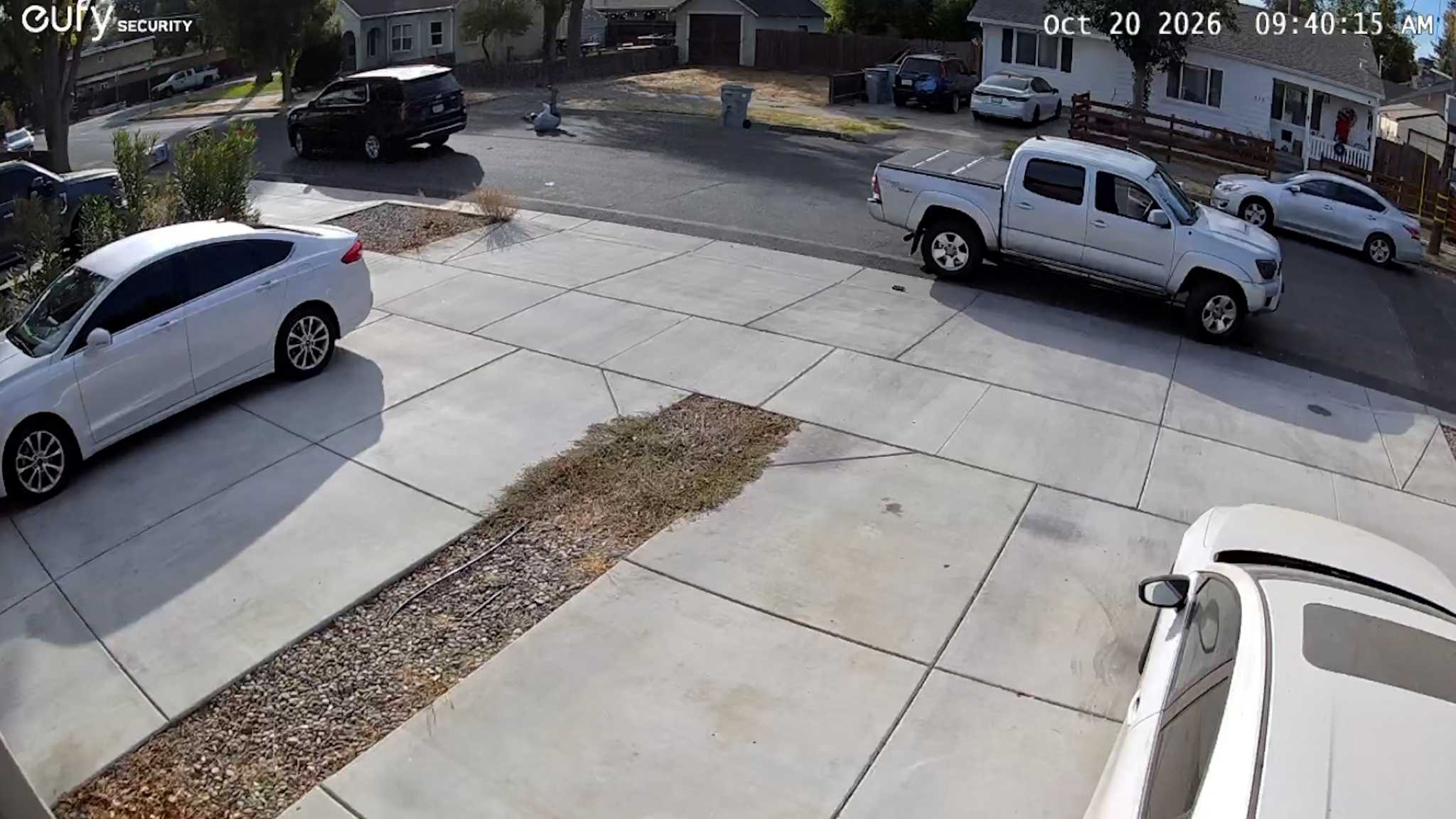 Videos show immigration officials hit man with vehicle; Woodland police investigating