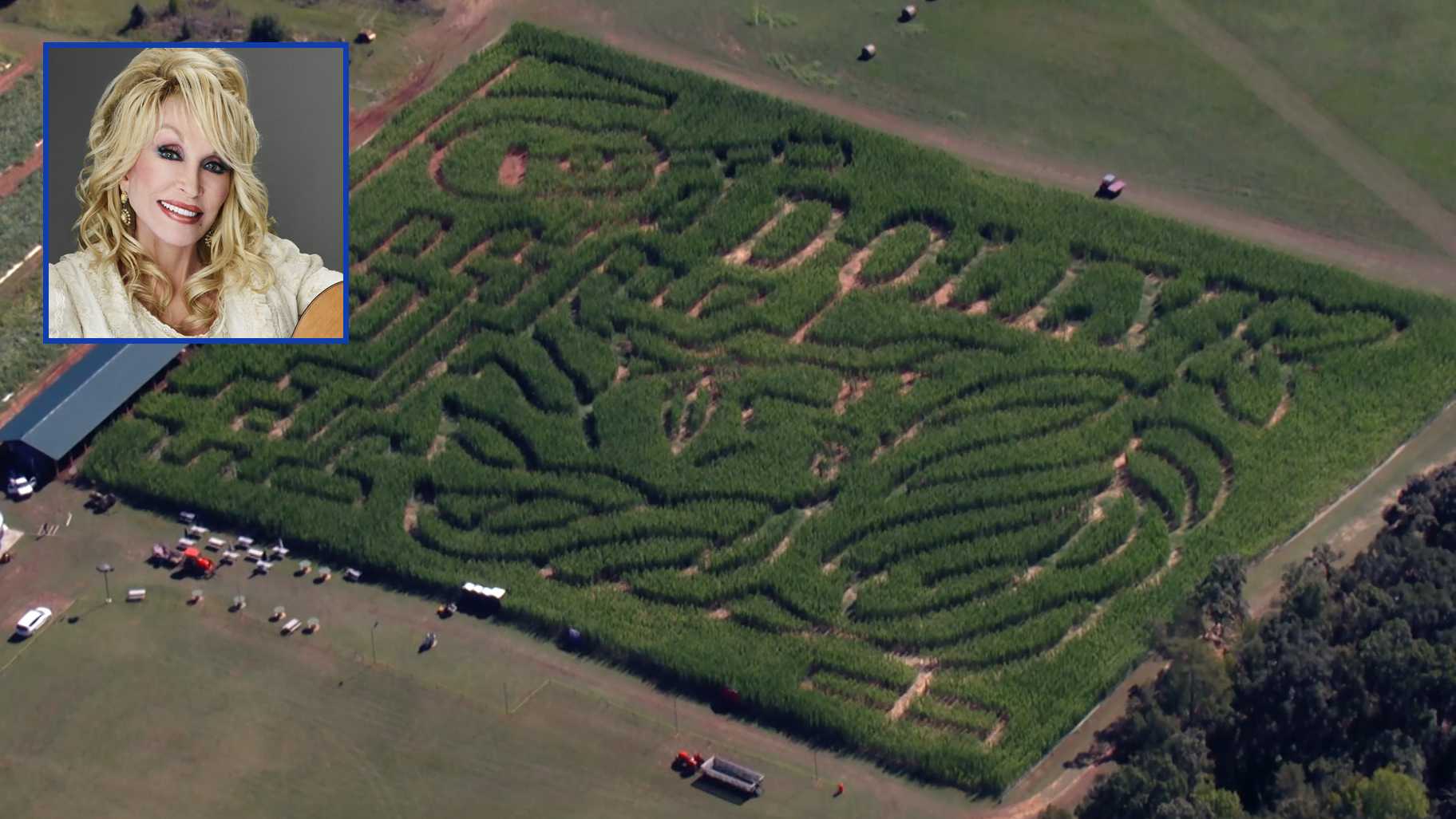 South Carolina farm honors Dolly Parton with corn maze