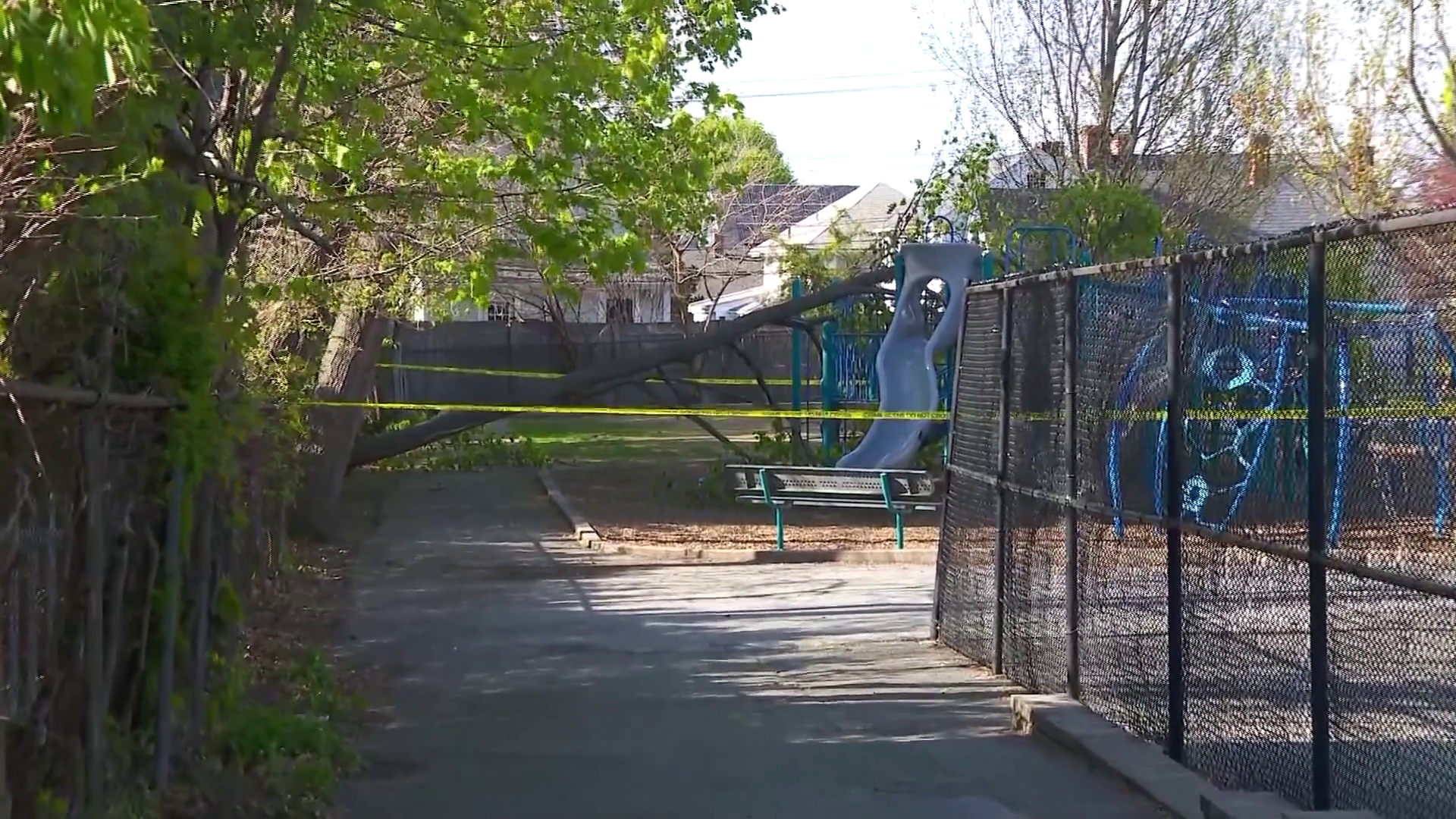Elementary student dies after tree topples onto Massachusetts school playground