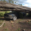 3 people inside damaged mobile home as tornado tears through Screven and Bulloch counties