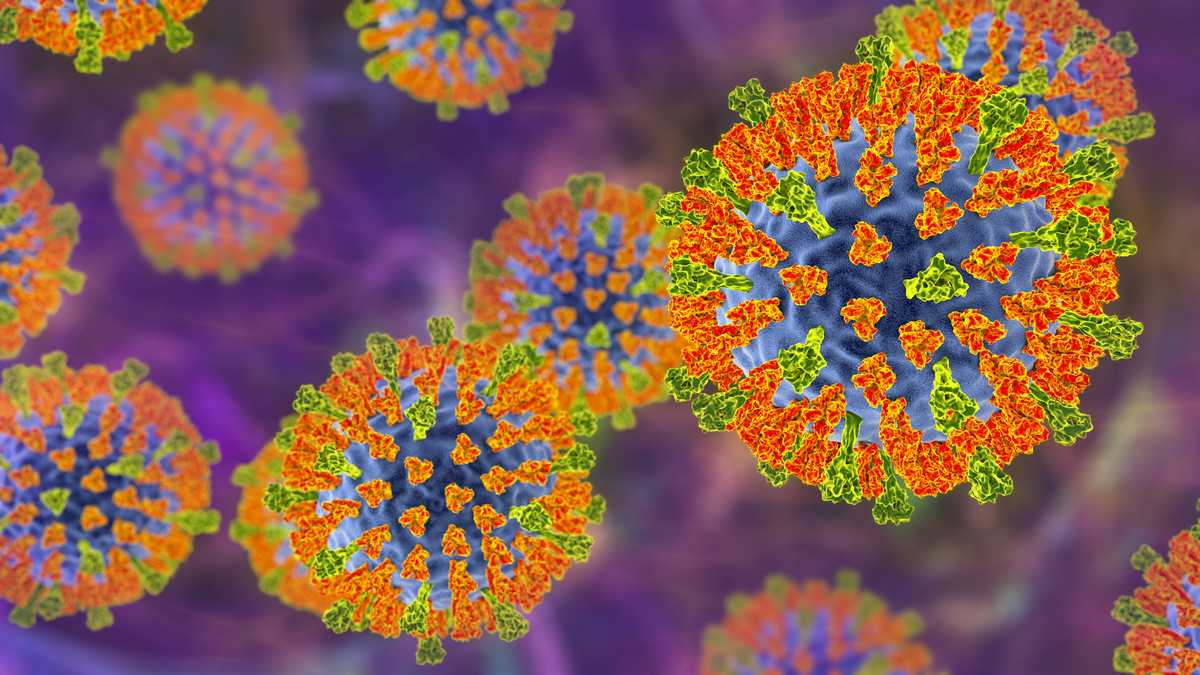Measles outbreak declared in 3 Maryland counties - WBAL-TV