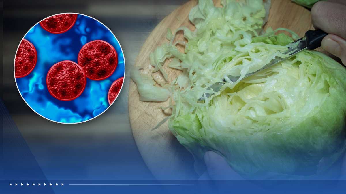 Taylor Fresh Foods pulls iceberg lettuce from U.S. market following cyclosporiasis outbreak