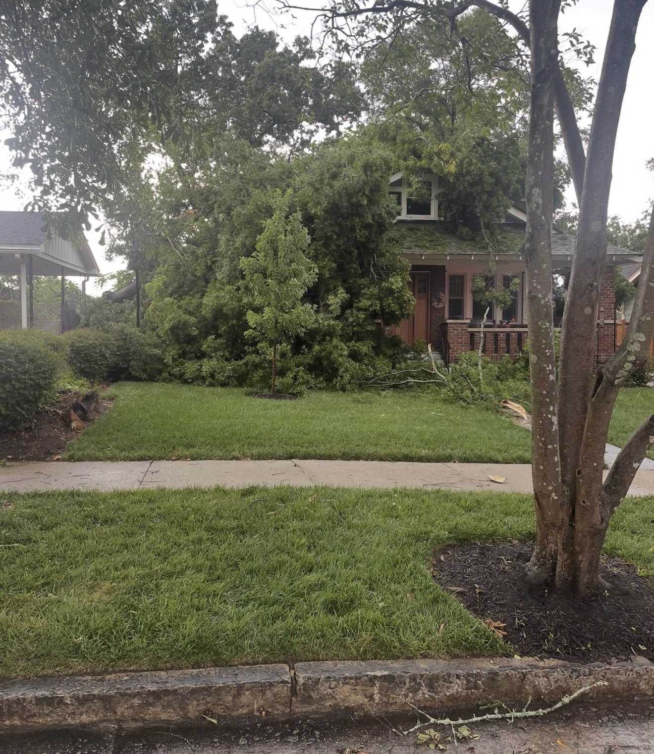 Tree falls on home in Upstate during storms