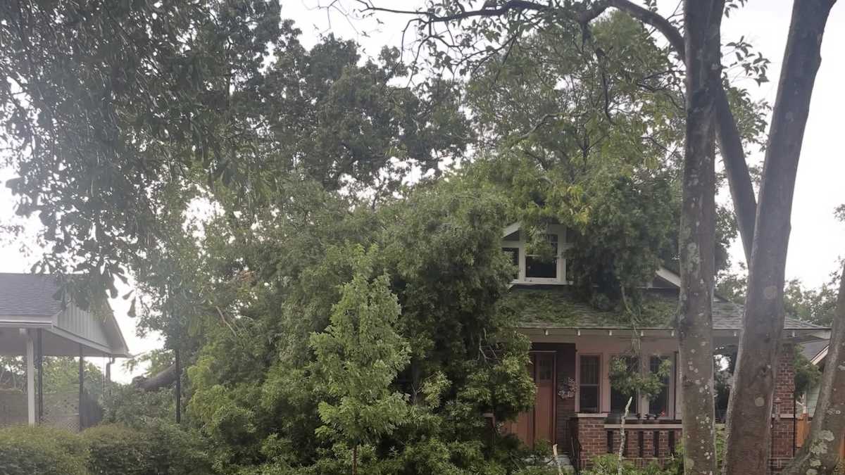 SC: Tree falls on home in Upstate during storms