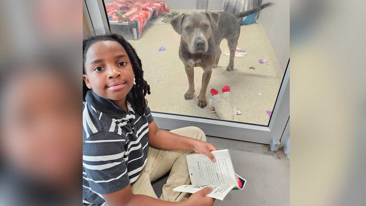 11-year-old boy spends 100 hours reading to pets at his local animal shelter