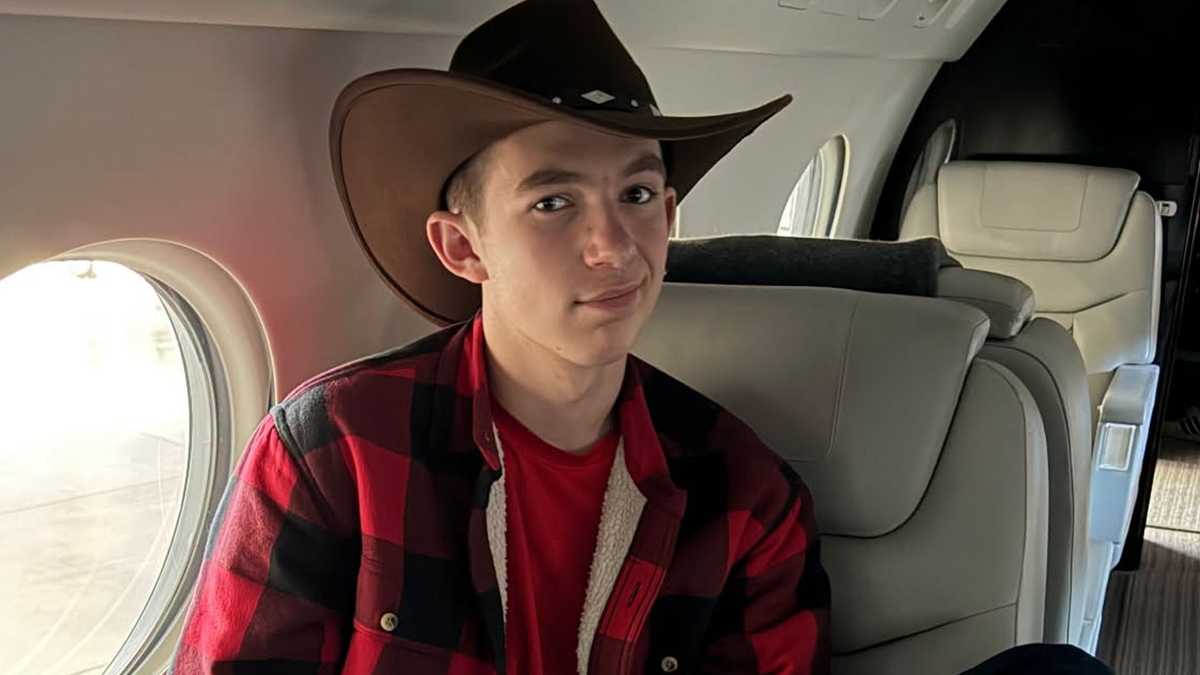 Coverage image for: Teen killed by lightning strike while trying to protect younger brother, family says