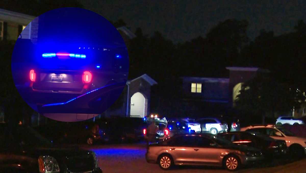 SLED: Details released on what led to Upstate officers shooting, killing man
