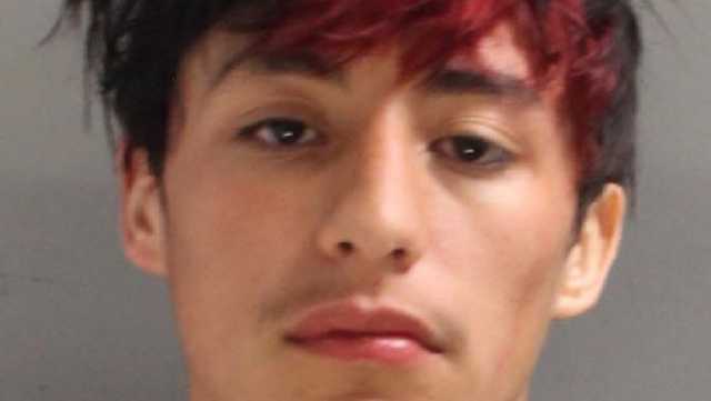 Hanover man and juvenile charged in York County BB gun assault, police say