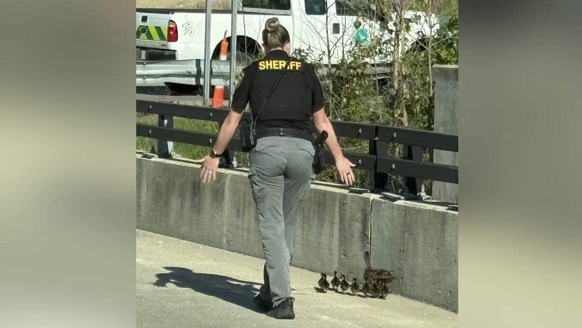 Ohio deputy’s act of kindness toward flock of ducks goes viral on social media