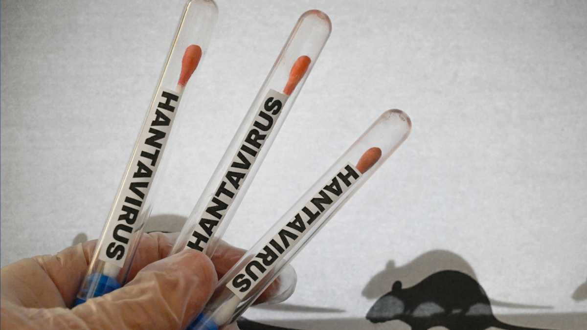Illinois investigates potential hantavirus case near Wisconsin border, unrelated to cruise ship