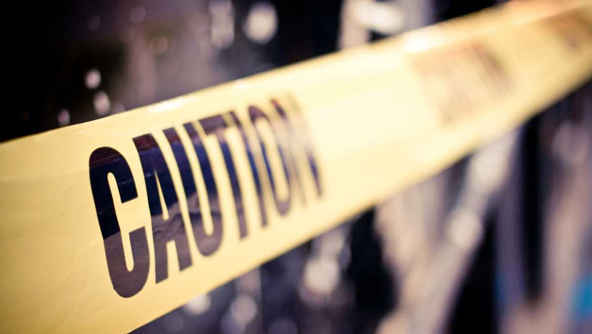 Small plane crashes in Texas, killing all 5 on board, official says - WJCL