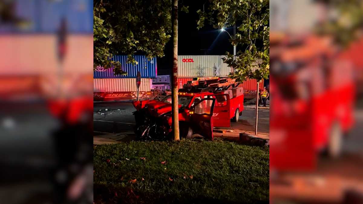 Driver rescued from train tracks within seconds of incoming train