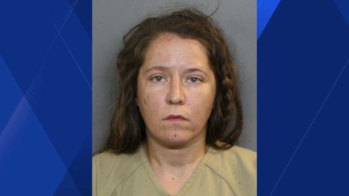 Woman shocked with Taser after alleged knife confrontation with deputy during Port Charlotte chase