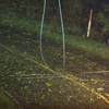 Town of Pleasant Garden closes facilities after severe storms