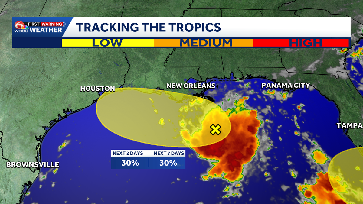 Tracking the Gulf disturbance and Dolly's remnants for possible re-development