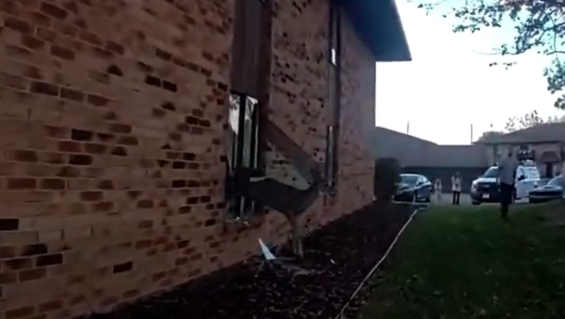 VIDEO: Deer leaps out of window after entering apartment - WPBF