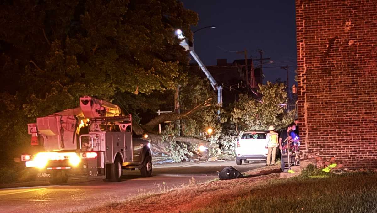 Downed tree damages home, knocks out power in Pittsburgh neighborhood