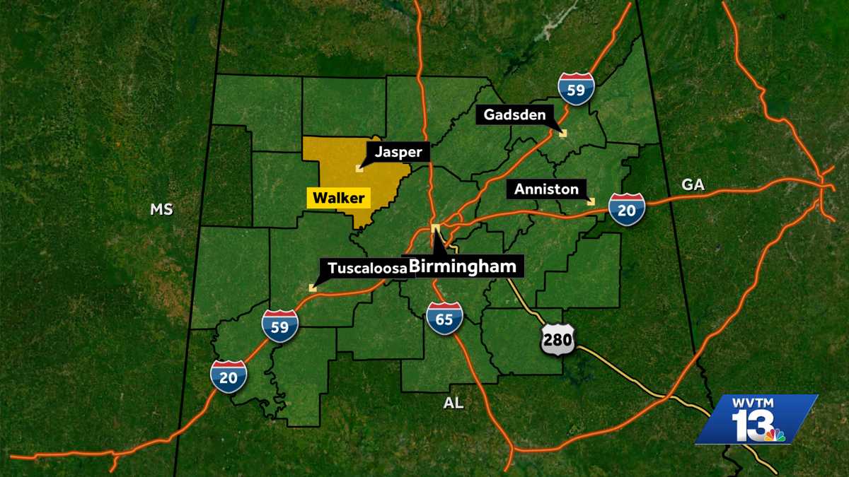 Oakman woman killed in early morning crash on Alabama 69
