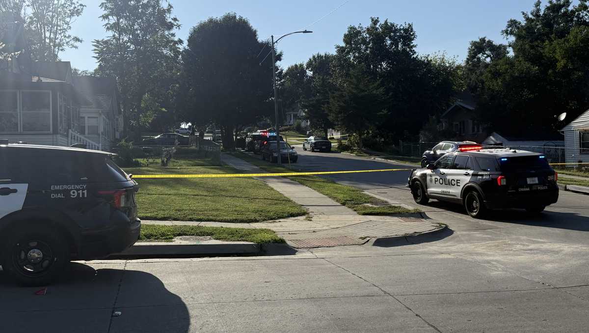 Assault News Image
