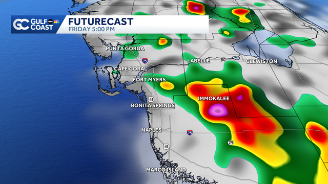 Hot with another round of heavy storms Friday for Florida's Gulf Coast