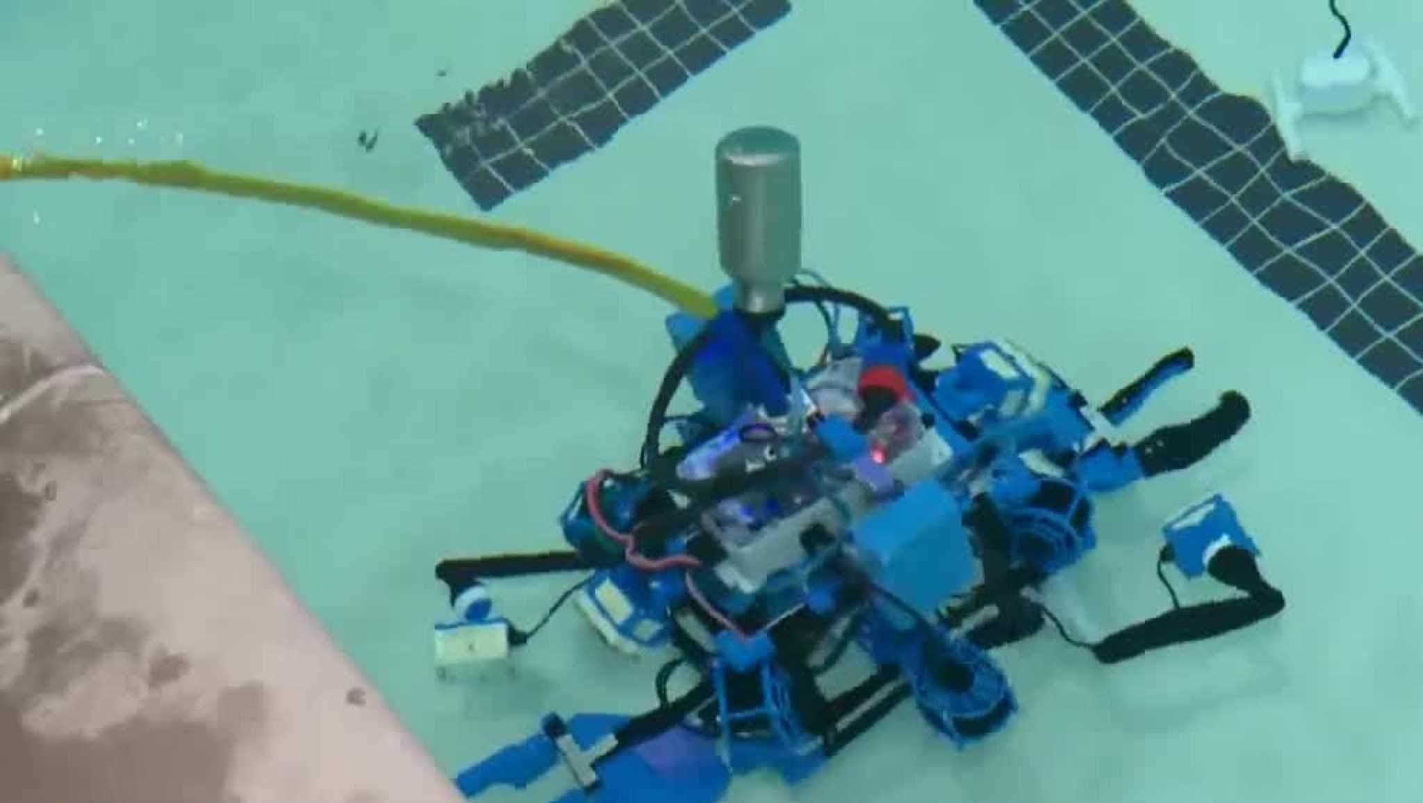 kcra.com - Erin Heft - St. Francis High School's robotics team heads to World Championships