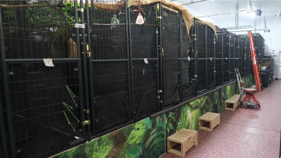 'Too ﻿﻿late to cancel the shipment': Warehouse wasn't ready for Sloth World Orlando animals; 31 died