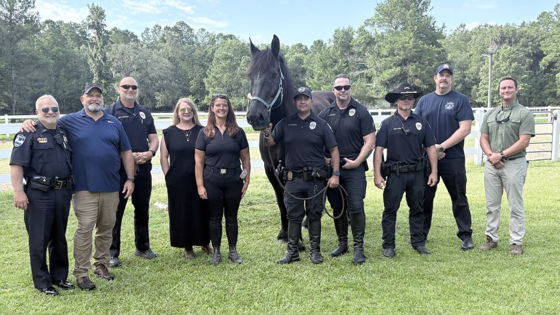 Retired Savannah police horse 'Grant' begins new mission helping veterans through equine therapy