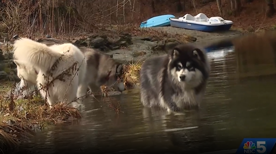 This is Our Home: Cambridge