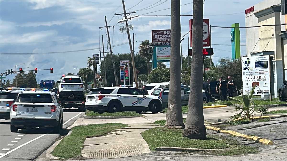 Assault News Image