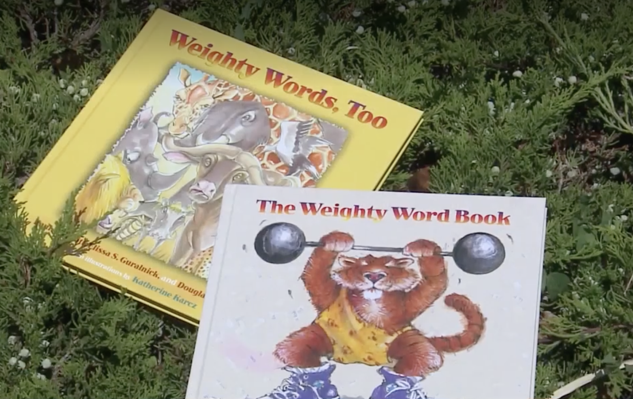 Children's book from 1983 gains new popularity after TikTok video