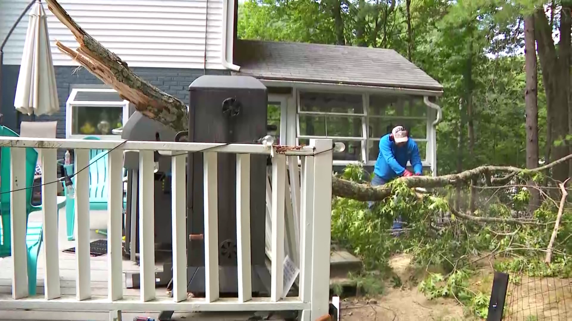 Family escapes injury as tree crashes down during pool party